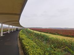 -南京枫彩漫城
