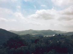-大姆山草场