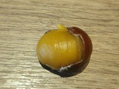 -秋栗香(地安门店)