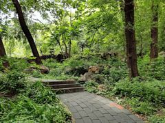 -大岭沟猕猴桃谷风景区