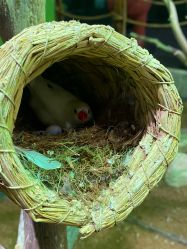 -Zoolung Zoolung动物主题公园(海信广场店)