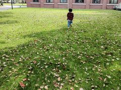 -上海财经大学(国定路校区)