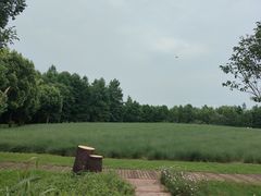 -同里国家湿地公园