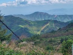 -东白山