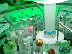-风云再起游乐汇(皇城恒隆广场店)