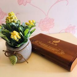 -本真坊美容美体沙龙