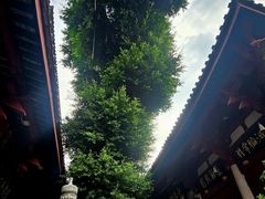 -叩齿古寺