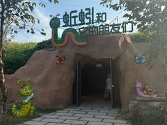 -杭州湾海上花田景区