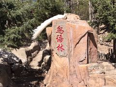-哈尔滨北方森林动物园