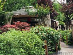 -二荆条·蜀鲜汇城市森林火锅