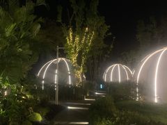 -悦见花开·花园里的火锅·露营·下午茶
