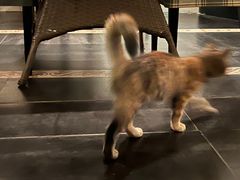 -EATALIA意塔利意式餐厅(鼓楼店)