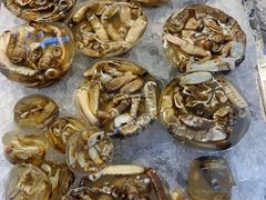 -铭聚章鱼土笋冻(松柏店)