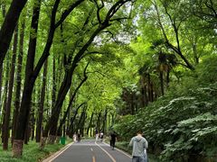 -采石矶景区