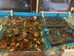 -渡海小渔村.老辈日照菜