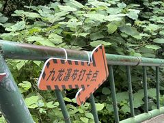 -洛阳白云山景区