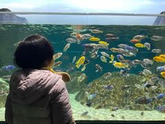 -江和美海洋公园