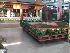 -森谷美食公园(杨行店)