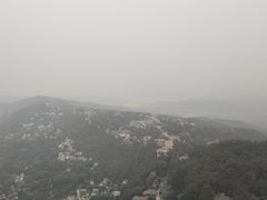 -大金鹰园