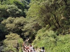 -少华山国家森林公园