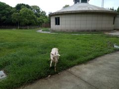 -长兴岛郊野公园农场食堂
