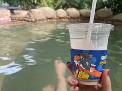 -三江森林温泉度假区