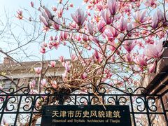 -天津五大道文化旅游区