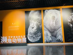-中国湿地博物馆