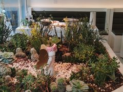 -春树下·树屋花房西餐厅(罍街AS1980店)