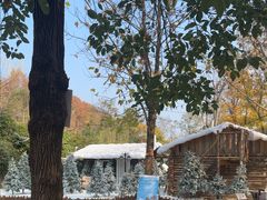 -HERRE·FARM 赫尔露营农场·团建聚会包场