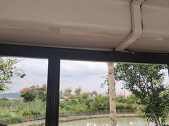 -米果果小镇