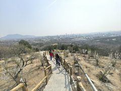 -白水寺森林公园