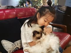 -咖法森林·咖啡  酒吧(天河店)