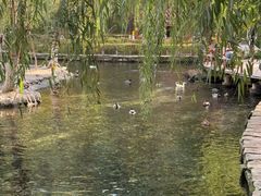 -水磨沟公园