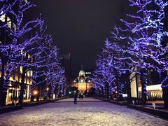 -札幌电视塔