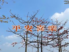 -露天矿生态公园