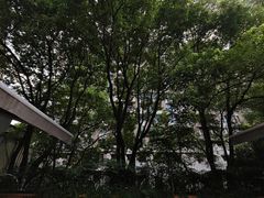 -C Cafe(朵云书院·戏剧店)