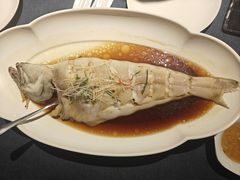 -金狮麟·新豫菜(金码大厦店)