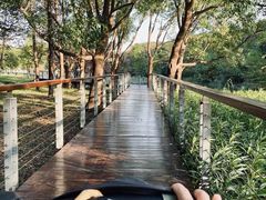 -昆山城市生态森林公园