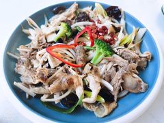 新疆椒麻鸡-董小西的凉皮和椒麻鸡(三元桥店)