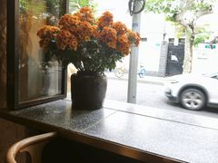 -Apollo·西班牙小酒馆(安福路店)