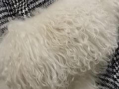 -WASHME大洗屋(虹桥南丰城直营店)