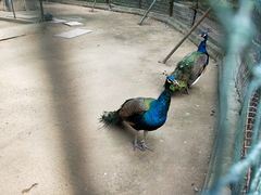 -祥源·阜阳生态乐园