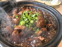-阿龙酒煲(海宁新苑路店)