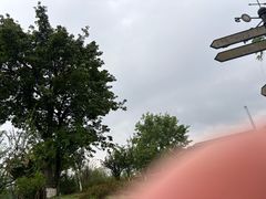 -白鹭湾湿地公园