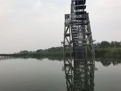 -太湖湖滨国家湿地公园-停车场