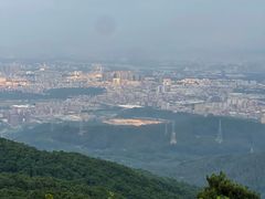 -东莞市大岭山森林公园