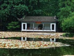 -杭州植物园