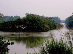 -大湾区中央湿地公园