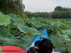 -WhaleSports户外水上运动俱乐部(朝阳公园店)